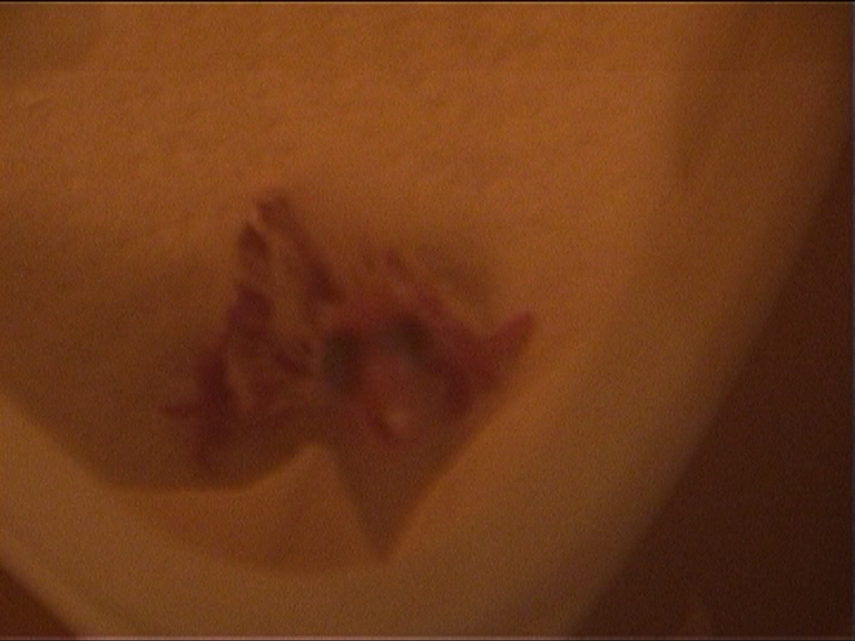 CALIMERO 2 heures 2.jpg