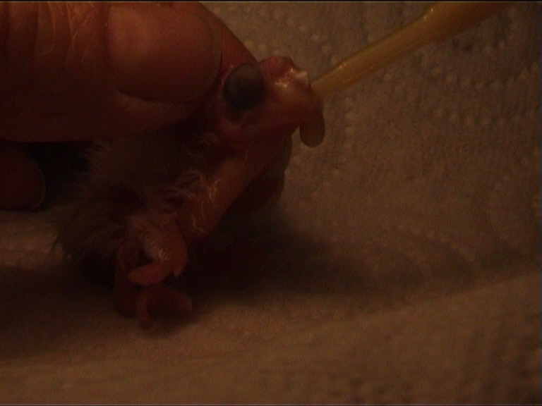 1er repas 3 juin minuit 2.jpg