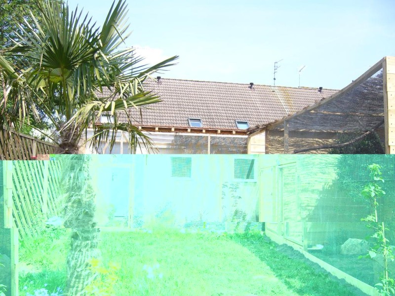 ELEVAGE VUE GLOBALE.JPG