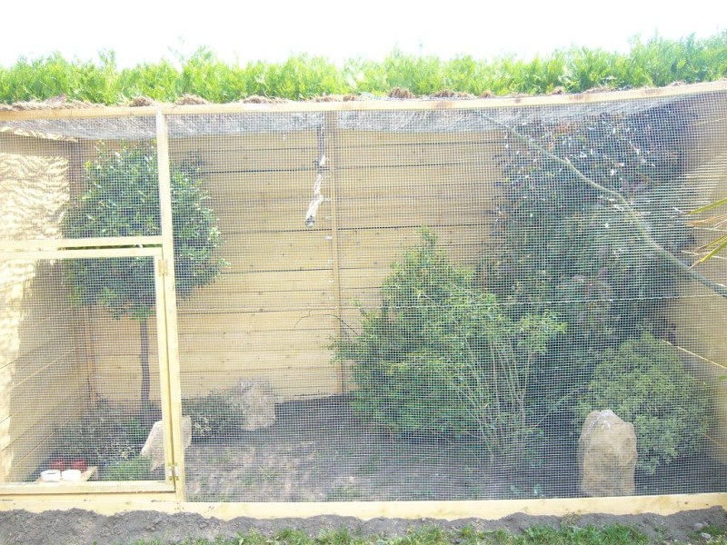 ELEVAGE VOLIERE MC.JPG