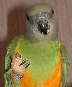 MIAMMMMM QUE C BONNNNNNN BISSS.JPG