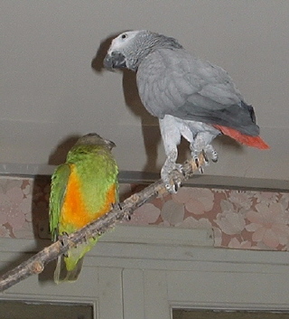 hoockae et keikho7BISS.JPG