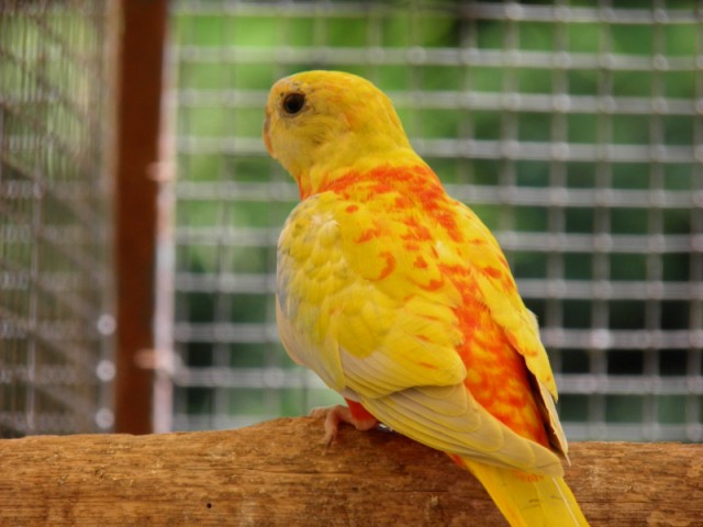 P8082480 [640x480].JPG