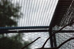 DSC00190 (WinCE).JPG