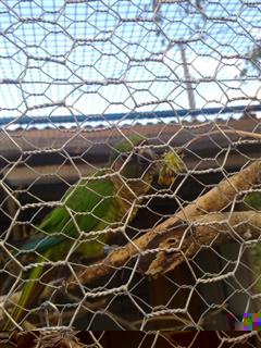 23072010394 (WinCE).jpg