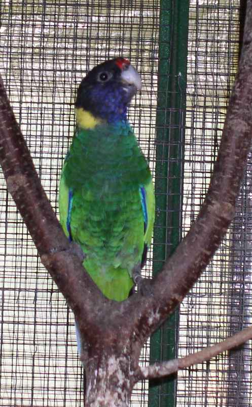 derniers arrivÃ©s 028.JPG