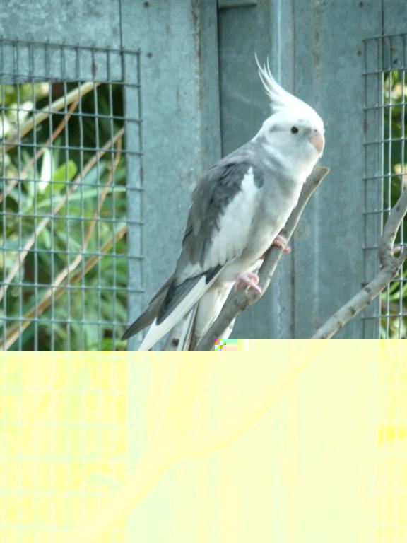 P1010056 (Large).JPG