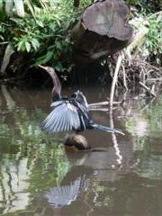 P1000571 (WinCE).JPG