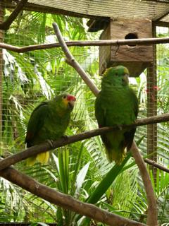 P1010029 (WinCE).JPG