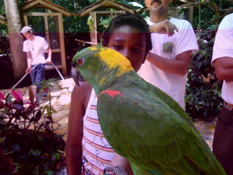 P1040566 (Large).JPG