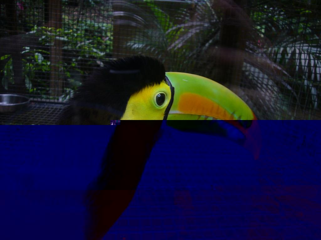 P1040679 (Large).JPG