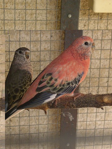 Juillet-Aout 100.jpg