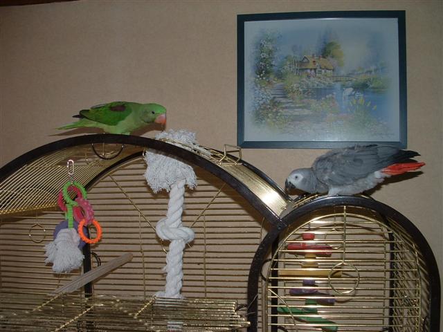 Photo 022 (Small).jpg