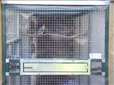 voliÃ¨re ext faÃ§ade.jpg