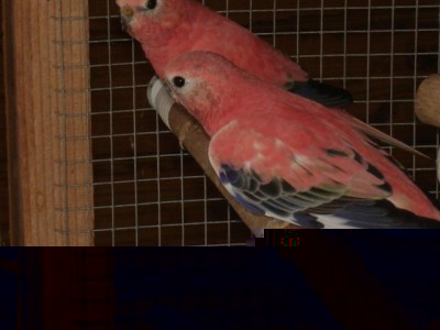 DSC03107 (Small).JPG