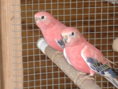 DSC03109 (Small).JPG