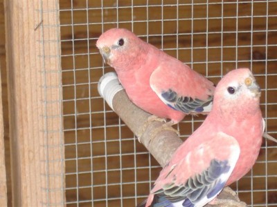 DSC03110 (Small).JPG