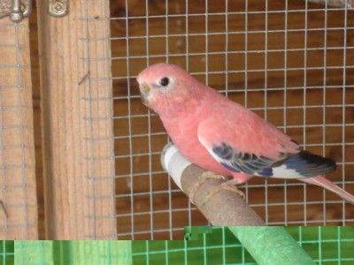 DSC03111 (Small).JPG