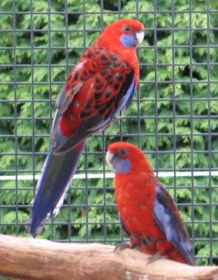 2010 09 05 parents.jpg