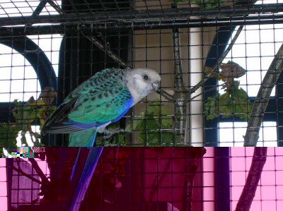 127 bis.jpg (56.59 Kio) Vu 2343 fois 127 bis.jpg