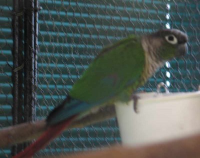 2010 09 chartres 002.jpg