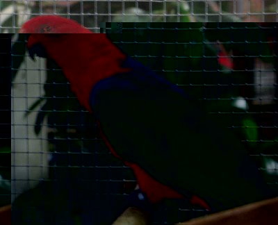 2010 09 chartres 008.jpg