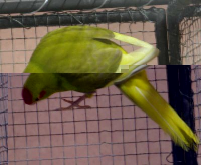 2010 09 chartres 016.jpg