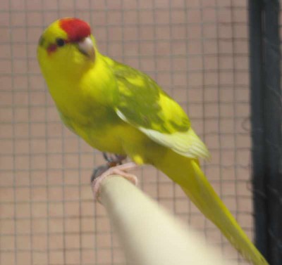 2010 09 chartres 017.jpg