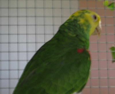 2010 09 chartres 029.jpg