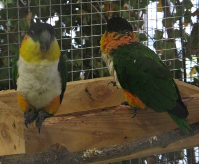 2010 09 chartres 030.jpg