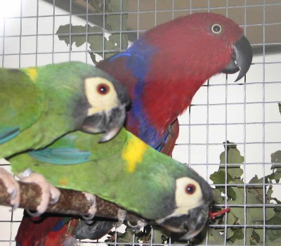 2010 09 chartres 034.jpg