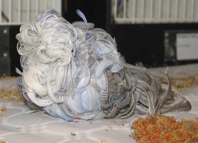 2010 09 chartres 035.jpg