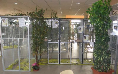 2010 09 chartres 041.jpg