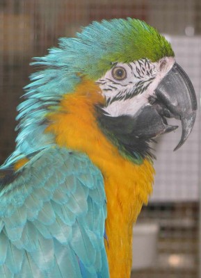 2010 09 chartres 045.jpg