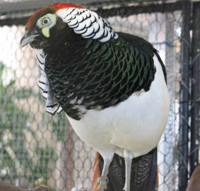 2010 09 chartres 048.jpg