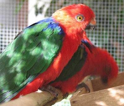 2010 09 chartres 052.jpg