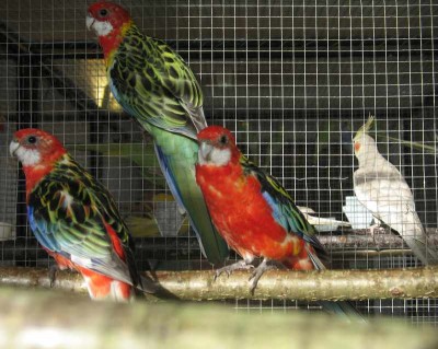 2010 09 chartres 054.jpg