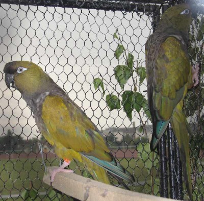 2010 09 chartres 057.jpg