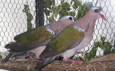 2010 09 chartres 059.jpg