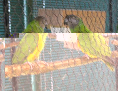 2010 09 chartres 061.jpg