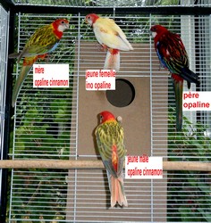 famille omnicolore 27 08 2010 nvc.jpg