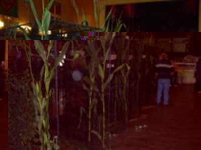 PIC_0001 (WinCE) (Small).JPG