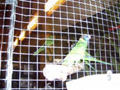 PIC_0002 (WinCE) (Small).JPG