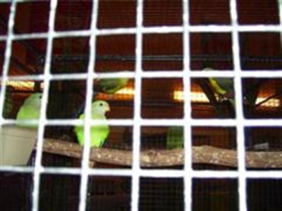 PIC_0003 (Small) (WinCE) (Small).JPG