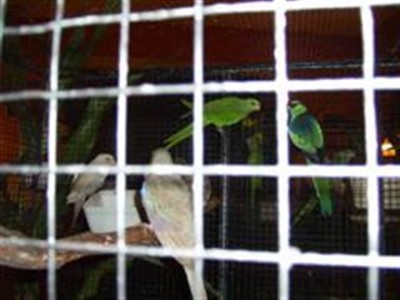 PIC_0004 (WinCE) (Small).JPG