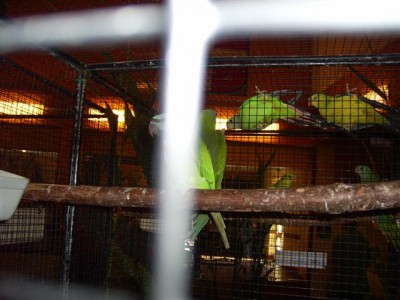 PIC_0005 (Small).JPG