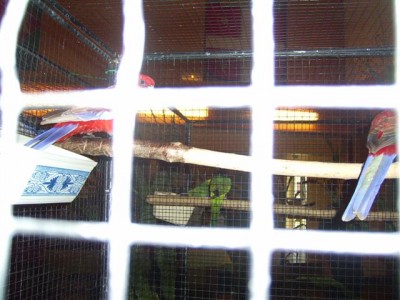 PIC_0006 (Small).JPG