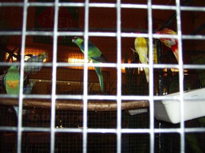 PIC_0007 (Small).JPG