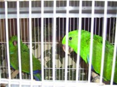 PIC_0008 (Small) (WinCE) (Small).JPG