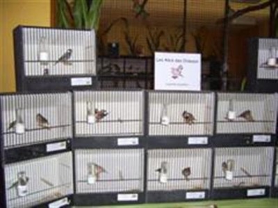 PIC_0009 (Small) (WinCE) (Small).JPG